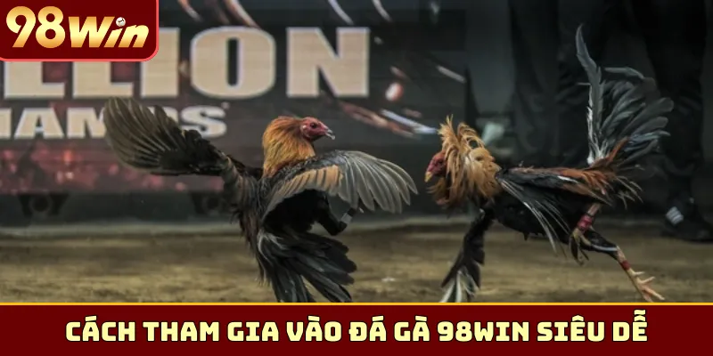 Cách tham gia vào đá gà 98Win siêu dễ